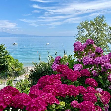 Front Lake Amazing View Manerba del Garda Exteriér fotografie