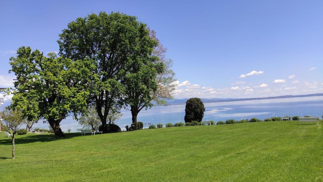 Front Lake Amazing View Manerba del Garda Exteriér fotografie