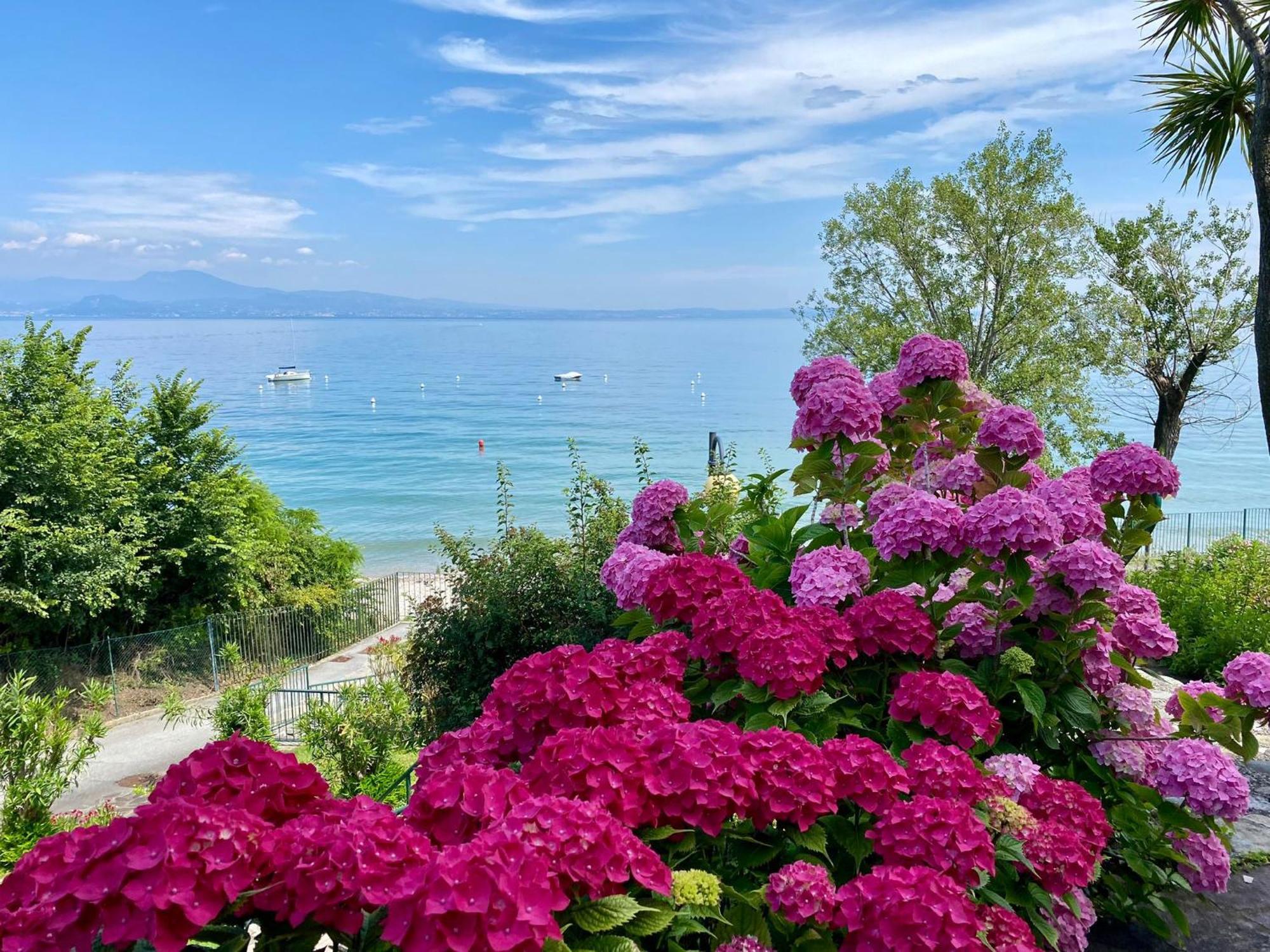 Front Lake Amazing View Manerba del Garda Exteriér fotografie